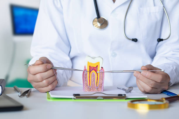 Best Tooth Pain Emergency Relief  in Lone Grove, OK